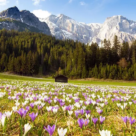 House Of Huetter - Wachtelhof & 5* Maria Alm am Steinernen Meer