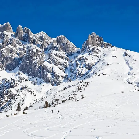 House Of Huetter - Wachtelhof & Hotel Maria Alm