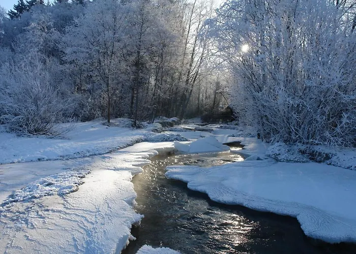 ホテル House Of Huetter - Wachtelhof & マリア・アルム・アム・シュタイナーネン・メアー