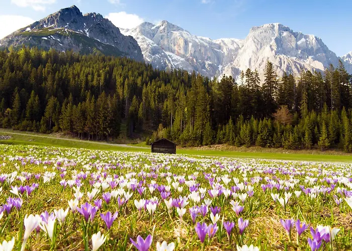 House Of Huetter - Wachtelhof & 5* マリア・アルム・アム・シュタイナーネン・メアー