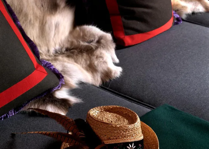 House Of Huetter - Wachtelhof & ホテル 5*